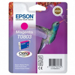 Tinteiro Original Epson T0803 Magenta - C13T08034011